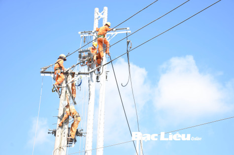 UBND TP. Bạc Liêu: Đối thoại và vận động, tuyên truyền các hộ dân bị ảnh hưởng từ Dự án xây dựng đường dây trung thế