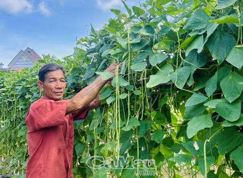 Còn sức khoẻ là còn lao động