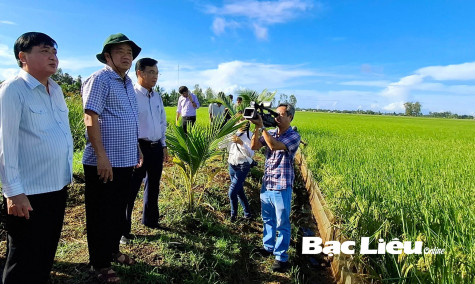 Hội Nông dân TX. Giá Rai: Góp phần nâng chất đời sống nông dân