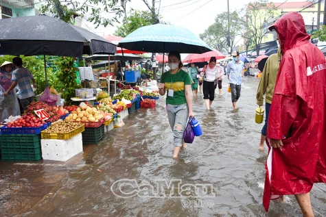 Lựa chọn thực phẩm trong mùa mưa bão