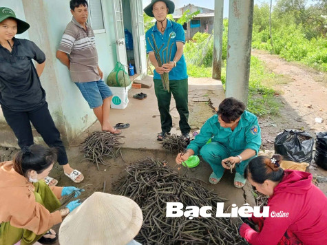 Phát triển rừng ứng phó với biến đổi khí hậu