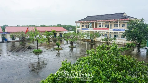 Thông tư 20 - Từ quy định đến thực tiễn - Bài cuối: Loay hoay tìm giải pháp