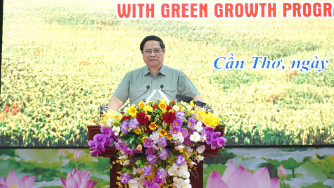 Thủ tướng chủ trì hội nghị bàn giải pháp thúc đẩy phát triển 1 triệu héc-ta chuyên canh lúa chất lượng cao, phát thải thấp tại ĐBSCL