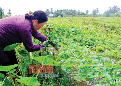 ប្រធានសាខា ធ្វើសេដ្ឋកិច្ចពូកែ