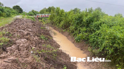 Ngang nhiên múc đất ven đê để san lấp mặt bằng?!
