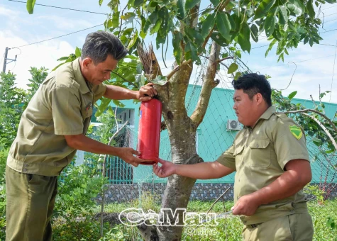 Bảo vệ an ninh trật tự ở cơ sở - Chủ động từ sớm, từ xa