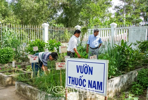 Điều trị ung thư phải theo phác đồ của bác sĩ chuyên khoa