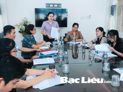 HĐND tỉnh giám sát công tác quản lý nhà nước về hoạt động đấu giá tài sản công