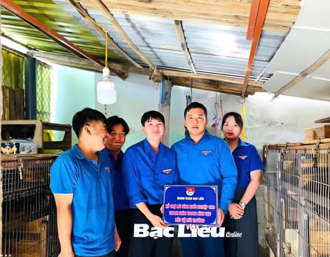 Thanh niên khởi nghiệp gắn với bảo vệ môi trường