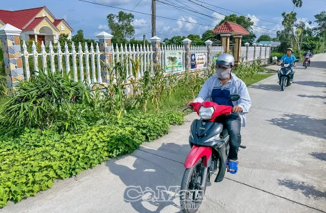 Cần đánh giá toàn diện 19 tiêu chí