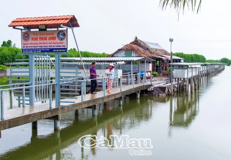 Mô hình cho thu nhập cao ở Tân Ân Tây