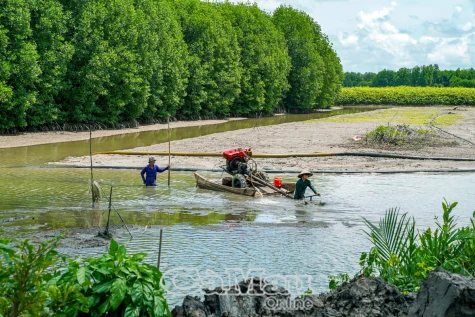 Sên vuông cho mùa vụ mới