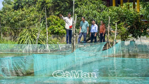 Đội ngũ hoạt động ở ấp, khóm: Tựa tre, chăm măng - Bài 2: Những tín hiệu tích cực