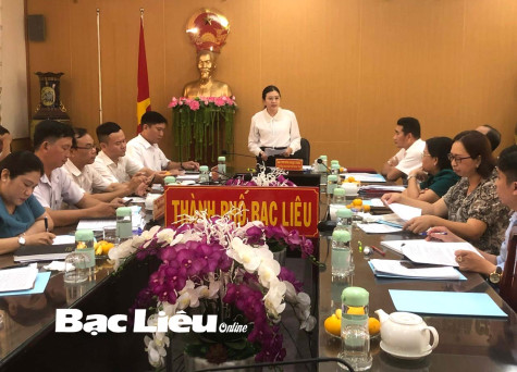 HĐND tỉnh: Giám sát công tác quản lý nhà nước về hoạt động đấu giá tài sản công tại TP. Bạc Liêu
