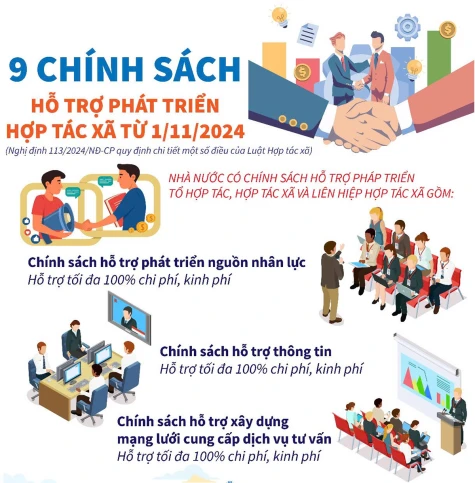 9 chính sách hỗ trợ phát triển hợp tác xã từ 1/11/2024