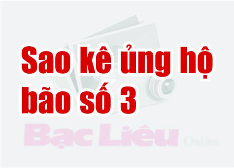 Sao kê ủng hộ bão số 3