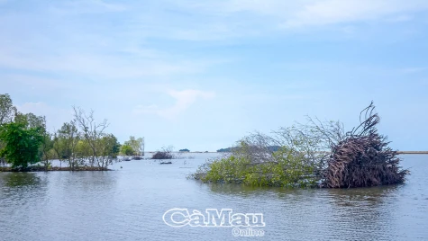 Ðồng tâm hiệp lực phòng, chống sạt lở