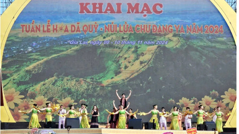 Gia Lai: Khai mạc Tuần lễ Hoa Dã quỳ - Núi lửa Chư Đang Ya 2024