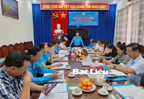 LĐLĐ tỉnh: Triển khai hướng dẫn xây dựng cơ quan, đơn vị, doanh nghiệp đạt chuẩn văn hóa