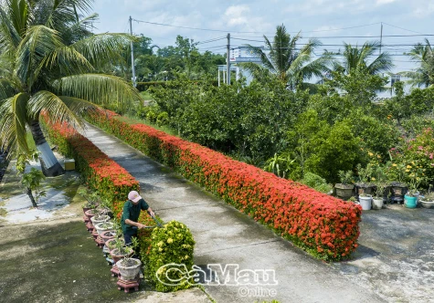 Mô hình thiết thực từ phong trào đại đoàn kết