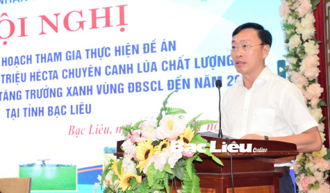 Bạc Liêu triển khai sản xuất 28.000ha lúa chuyên canh chất lượng cao vào năm 2025