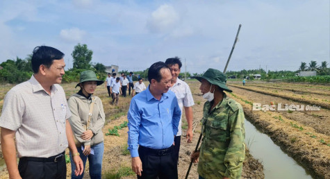 Những trăn trở của nông dân