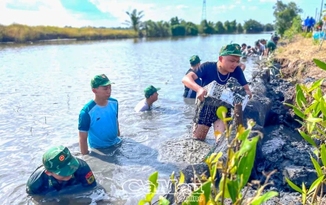 Tuổi trẻ Bộ đội biên phòng hưởng ứng các hoạt động kỷ niệm 70 năm tập kết ra Bắc