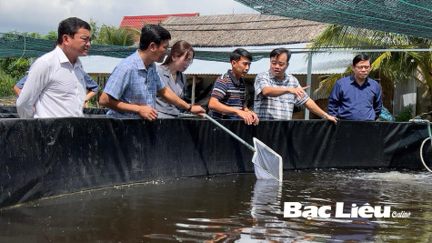 Tạo đòn bẩy thúc đẩy kinh tế tập thể phát triển