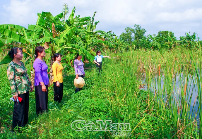 Phụ nữ đồng hành phát triển kinh tế tập thể