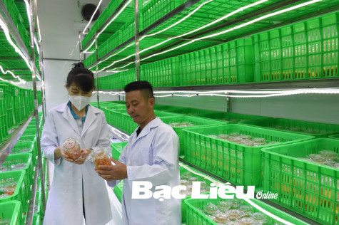 TP. BẠC LIÊU: Đẩy mạnh phát triển​ khoa học - công nghệ