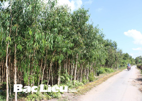 Quy định về đơn giá bồi thường thiệt hại khi Nhà nước thu hồi đất