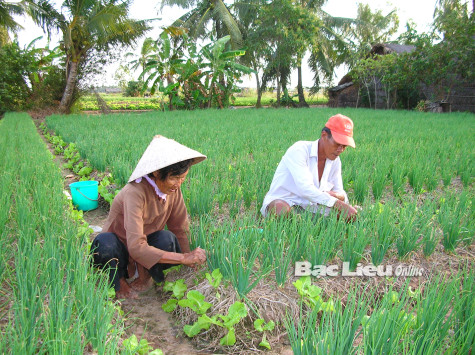 Triển khai nhiều dự án đầu tư cho công tác giảm nghèo