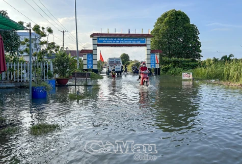 Triều cường gây ngập nhiều nơi