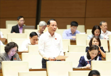 Kỳ họp thứ tám, Quốc hội khóa XV: Xây dựng chính sách phù hợp, đồng bộ thúc đẩy phát triển công nghiệp hóa chất