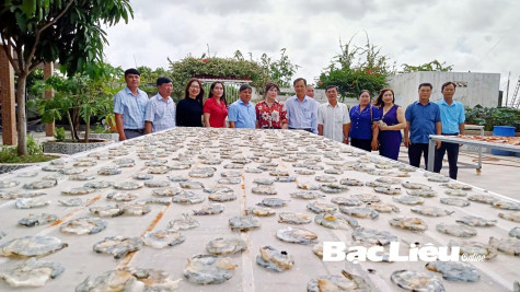 10 năm thực hiện đổi mới công tác thi đua - khen thưởng: Góp phần thực hiện thắng lợi các mục tiêu, nhiệm vụ phát triển kinh tế - xã hội