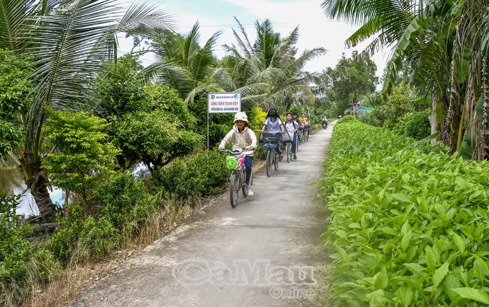 Bình dị đất rừng U Minh