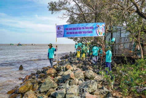 Cùng hành động để giảm thiểu ô nhiễm