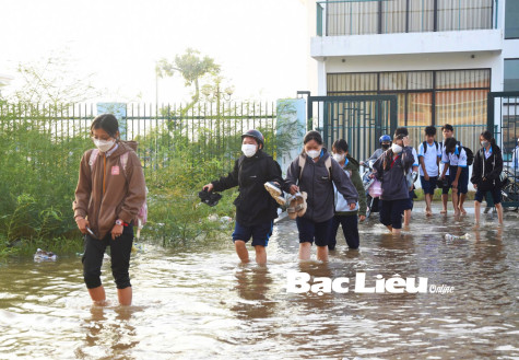 Thầy trò vùng ven chật vật ứng phó với triều cường