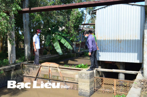 Tập trung xuống giống dứt điểm vụ lúa đông xuân