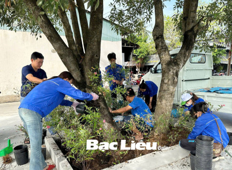 Sôi nổi những công trình chào mừng Đại hội Đảng các cấp của Đoàn