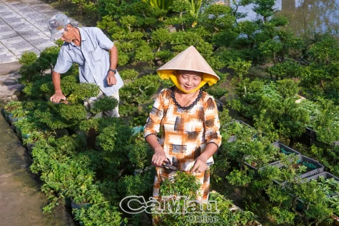 Sống chậm cùng thiên nhiên