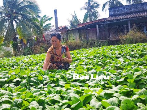Những người mẹ Khmer nuôi dưỡng giấc mơ đến trường cho con