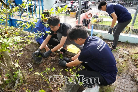 Đoàn viên thanh niên tổng vệ sinh môi trường “Mừng Đảng - Mừng Xuân Ất Tỵ 2025"