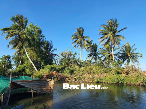 Vị quê nhà
