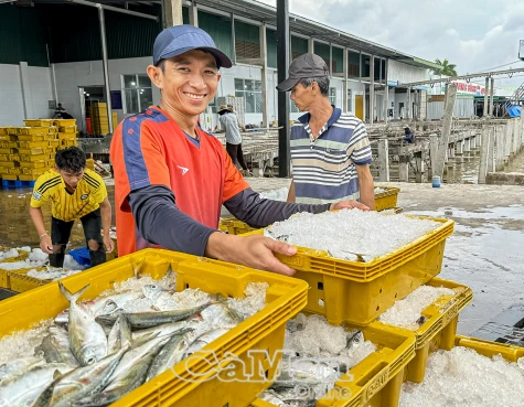 Thu ngân sách ước vượt chỉ tiêu trên 500 tỷ đồng