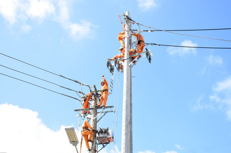 TP. Bạc Liêu: Tích cực thực hiện Nghị quyết 02