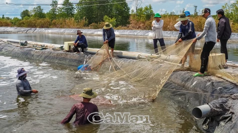 Ðổi mới, sáng tạo - động lực đột phá