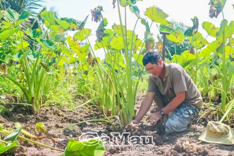 Nơi không còn hộ nghèo