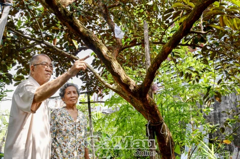 Ông Hai Ẩn giàu lòng trắc ẩn