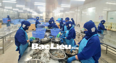 Sôi động thị trường việc làm cuối năm